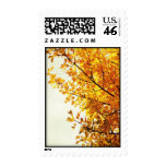 Change Can be Beautiful - Postage Stamp