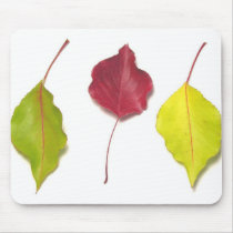 Change mousepads by cshphotos Change mousepads