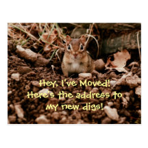 Change of Address Chipmunk Postcard