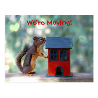 Change of Address Moving Announcement Squirrel Post Cards