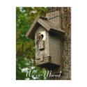 Change of Address Post Card postcards