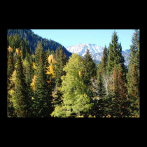 Change of seasons posters by Orchidlady Change of seasons posters