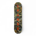 CHANGE skateboards