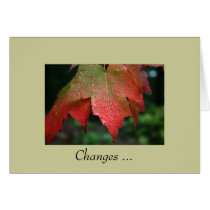 Changes ... cards