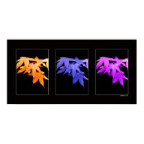 Changes posters
