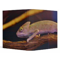 Changing Chameleon Binders