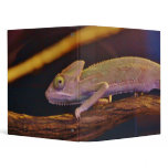 Changing Chameleon Binders