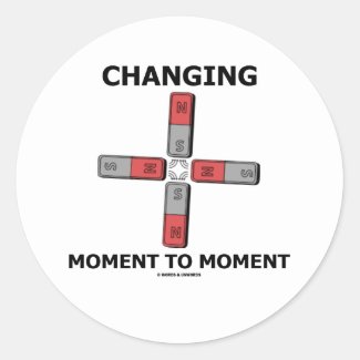 Changing Moment To Moment (Magnetism Humor) Round Sticker