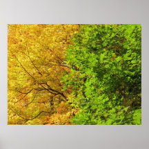 Changing Print