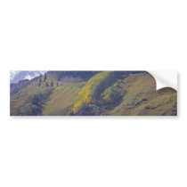 Changing to Gold Bumper Sticker