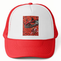 chango caballo hats