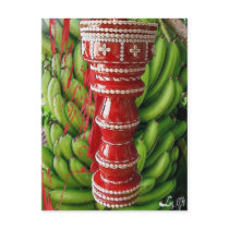 CHANGO RACIMO BATEA POSTCARDS