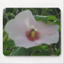 Chankanaab Hibiscus