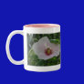 Chankanaab Hibiscus