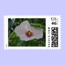 Chankanaab Hibiscus stamps