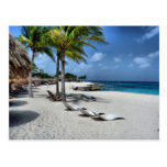 Chankanaab National Park in Cozumel Postcards