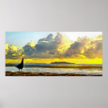 Channel Island Waves Poster