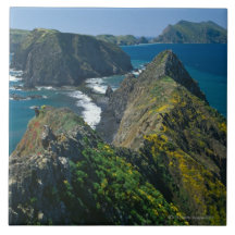 Channel Islands National Park, Southern Tiles