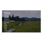 Channelized stream in Georgia Business Card