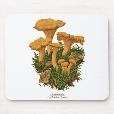 Chanterelle Mushroom Mousepad