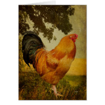 Chanticleer Rooster Blank Greeting Card cards