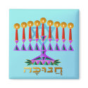 Chanukah magnets