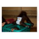 Chaos at Jungle Nursery cards