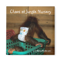 Chaos at Jungle Nursery magnets