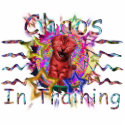 Chaos in Training Cutout photo sculptures