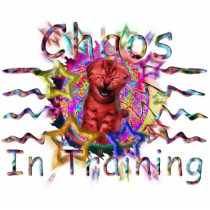 Chaos in Training Cutout photo sculptures
