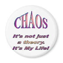 Chaos not just a theory transparent magnets