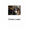 Chaos rocks! - Customized t-shirts by BridgetKMcManus Chaos rocks! - Customized t-shirts
