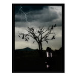 Chaos Theory Postcards