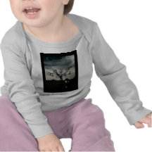 Chaos Theory T Shirts
