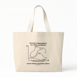 Chaos Theory's Butterfly Effect bag