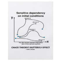 Chaos Theory's Butterfly Effect flyers