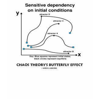 Chaos Theory's Butterfly Effect Graph shirt