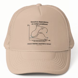 Chaos Theory's Butterfly Effect hat