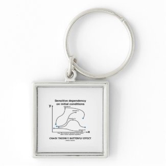 Chaos Theory's Butterfly Effect keychain
