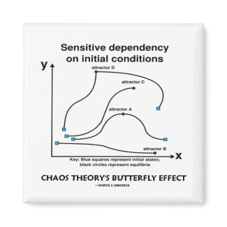 Chaos Theory's Butterfly Effect magnet
