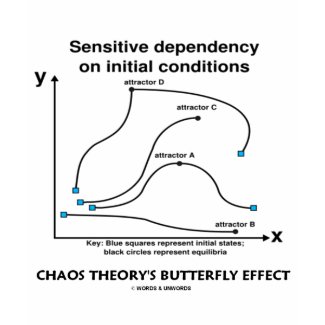 Chaos Theory's Butterfly Effect shirt