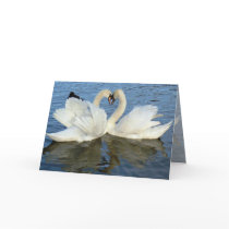 Chaperoned Swan Heart Love cards