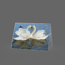 Chaperoned Swan Heart Love cards