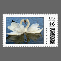 Chaperoned Swan Heart Love postage