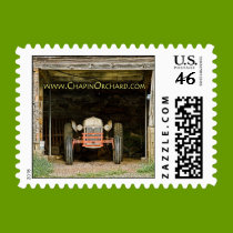 Chapin Orchard postage