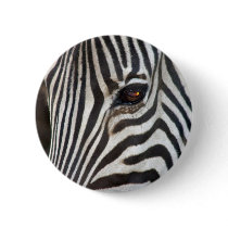 Chapman's Zebra buttons by ZebraRunner Chapman's Zebra buttons