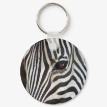 Chapman's Zebra keychains