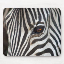 Chapman's Zebra mousepads