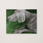 Chappell's Weimaraners Puzzle