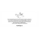 Chapter 10